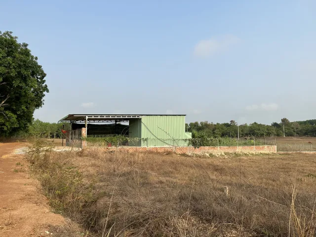 Bán đất Mặt Tiền Đường 18m. DT 1000m² ngang 10m giá 1 tỷ Xã Lộc Thành