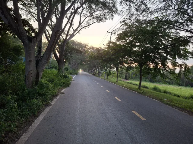 Cần bán đất ruộng ngay cạnh đường dẫn cao tốc Bến Lức- Long Thành, Nguyễn Văn Tạo