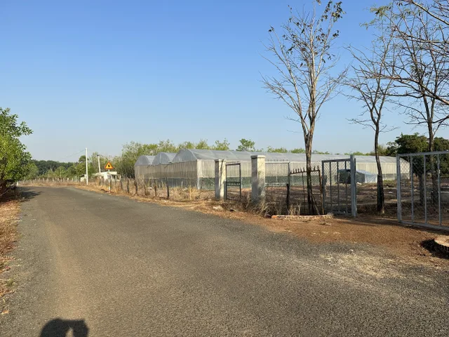 Bán đất 1000m² ngang 10m giá 1.7 tỷ Xã Lộc Tấn