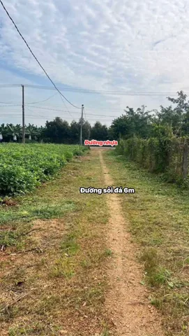 Bán đất 450.6m² ngang 12m giá 690 triệu Xã Hòa Hiệp