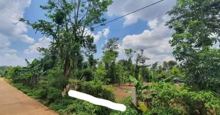 Bán đất 149.8m² ngang 5m giá 350 triệu Phường Cư Bao