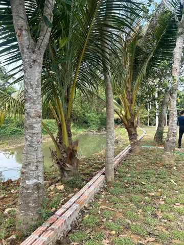 Chỉ hơn 400tr có ngay lô đất sãn sổ ngay gần chợ và đường QL 12B tại Kim Bôi, Hoà Bình