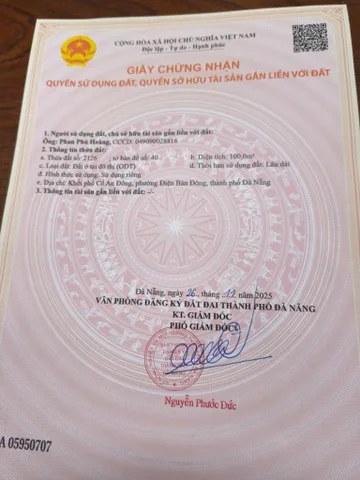 Bán đất