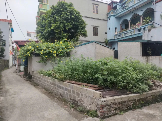 🔥 CỰC PHẨM LÔ GÓC 2 MẶT TIỀN – Ô TÔ VÀO ĐẤT – QUẤT LÂM, QUẤT ĐỘNG 🔥