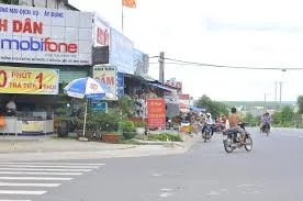 CHỦ GỬI 1000M2 ĐẤT TC CÓ SẴN VƯỜN MÍT ĐANG THU HOẠCH CẠNH CHỢ VÀ UBND CHỈ 550TR