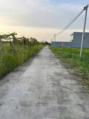 Bán đất xã Lạc Tấn , Tân Trụ tdt 1960m2 ( có 200m2 thổ) đường beton, có tường rào giá 2,2 tỷ