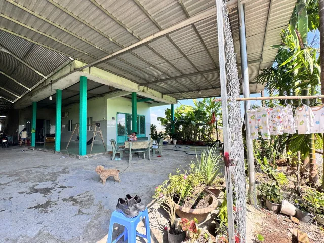 Bán nhà 1984.4m² ngang 11m giá 1.7 tỷ Xã Mỹ Hạnh