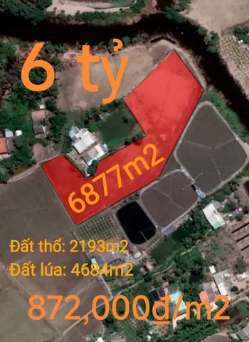 Bán đất 6877m² giá 6 tỷ Xã Vàm Cỏ