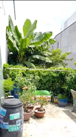 BÁN ĐẤT TT THỦ THỪA, LONG AN - 200m2 - GIÁ 4.4 TỶ - FULL ĐẤT Ở ĐÔ THỊ