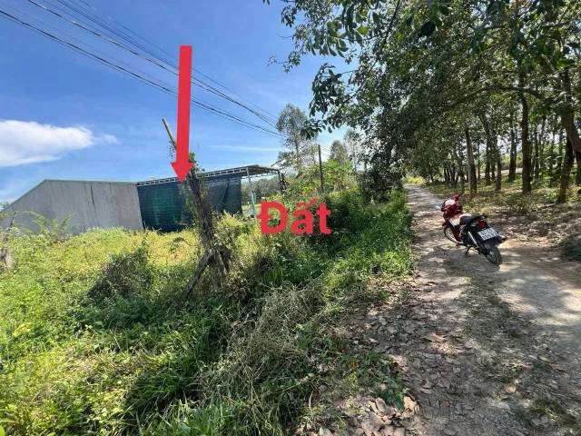 Bán đất 620m² ngang 10m giá 1.5 tỷ Phường An Tịnh