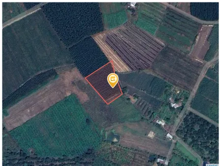 Bán đất 3685.1m² giá 1.9 tỷ Xã Xuân Đông