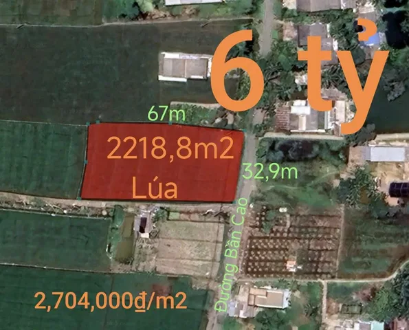 Bán đất 2218.8m² ngang 32m giá 6 tỷ Xã Vàm Cỏ