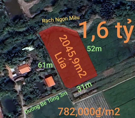 Bán đất 2045.9m² ngang 31m giá 1.6 tỷ Xã Vàm Cỏ