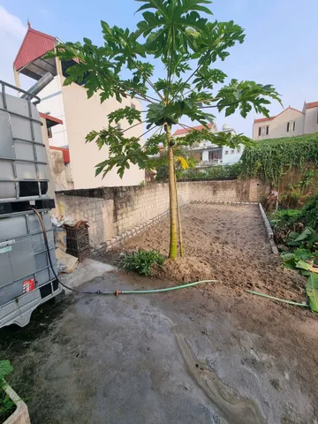 🔥 LÔ ĐẤT SÁT CHỢ QUẤT ĐỘNG – 40,8M² – Ở LÀ SƯỚNG, ĐẦU TƯ LÀ CHẮC 🔥