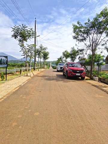 🔥 Vì sao nhiều nhà đầu tư đang âm thầm đổ về Di Linh?