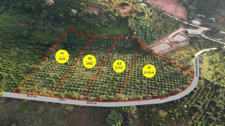 Bán đất 14000m² ngang 200m giá 22.4 tỷ Xã Nam Ban Lâm Hà