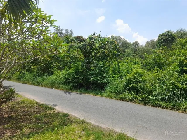 Đất Tăng Thị Hội xã An Nhơn Tây huyện Củ Chi, tiềm năng tăng giá mạnh