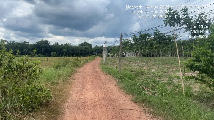 Bán 8000m đất (200m thổ cư). Tân Hội, Tân Châu, TN