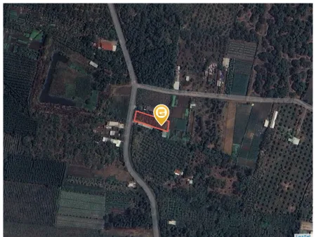 Bán đất 779.2m² giá 100 triệu Xã Hưng Thịnh