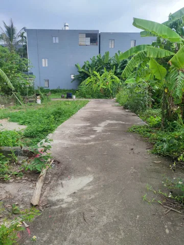 Bán đất ngõ 3m Hòa Nghĩa 56,6m² ngang 4,2m giá 860 triệu Phường Dương Kinh