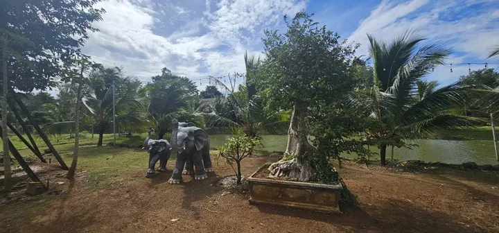 Đất nhà vườn giữa thôn 4 hẻm đường C không gian yên tĩnh thoáng mát homestay tránh khói bụi phố thị Diện tích 3.338m2 Giá 5 tỷ 490tr