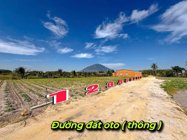 Bán đất 125m² giá 279 triệu Xã Dương Minh Châu