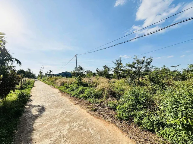 Bán đất 261.1m² ngang 5m giá 250 triệu Xã Ea Na