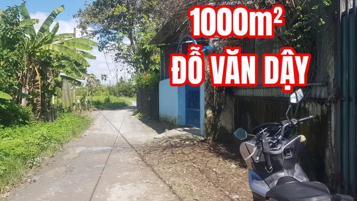 Bán đất 1000m² Tân Hiệp trục Đỗ Văn Dậy giá rẻ quy hoạch dân cư ngang 20mx50m Xã Hóc Môn