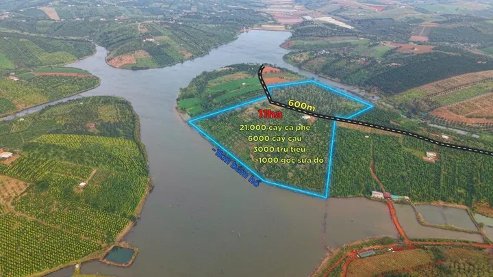 Bán đất 110000m² giá 25 tỷ Xã Tuy Đức