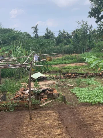 Bán đất 359.6m² ngang 5m giá 725 triệu Xã Hòa Phú