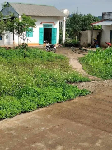 Bán đất 13000m² ngang 32m giá 2.5 tỷ Xã Đắk Mil