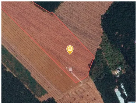 Bán đất 3307m² giá 230 triệu Xã Đồng Phú