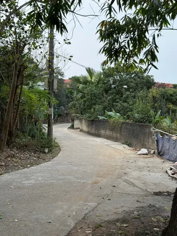 Bán đất 95.9m² ngang 7.4m giá 1.6 tỷ Phường Vân Phú