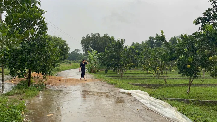 🏡 BÁN ĐẤT LK09 TRUNG TÂM XÃ BẢO HIỆU – YÊN THỦY – HÒA BÌNH
💰 Giá chỉ từ 3xx triệu/lô – Pháp lý rõ ràng – Sổ đỏ riêng từng lô
