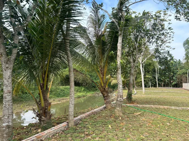 🌻ĐẤT ĐẸP BÁM SUỐI, MẶT TIỀN 5 MET, CHỈ 360 TRIỆU SỞ HỮU NGAY ĐẤT THỦ PHỦ NGHỈ DƯỠNG KIM BÔI🌻