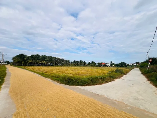 0938113403 Bán đất 117m² giá 639 triệu Xã Bắc Ninh Hòa Z271
