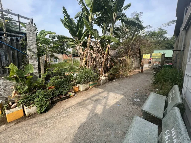 Bán đất đường số 26 Phường Long Thạnh Mỹ, Quận 9, tp.Hồ Chí Minh 3,8tỷ