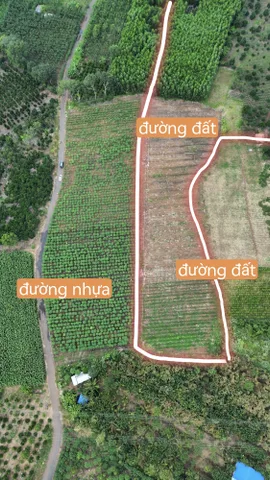230m mặt tiền nhựa, 200m mặt tiền đường đất.