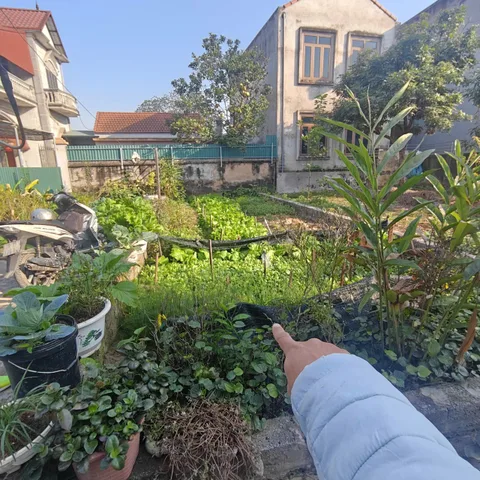 49,5M PHÚC TRẠCH – THỐNG NHẤT | Ô TÔ VÀO – GẦN TRỤC CHÍNH
