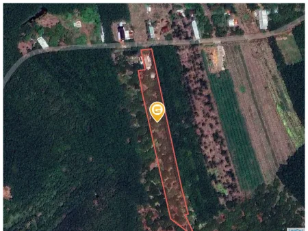 Bán đất 7157.5m² Xã Tân Lợi