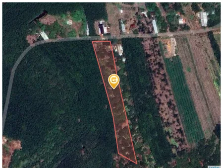 Bán đất 7726m² giá 250 triệu Xã Tân Lợi