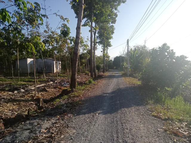 Bán đất 10050m² ngang 210m giá 10 tỷ Phường Bình Minh