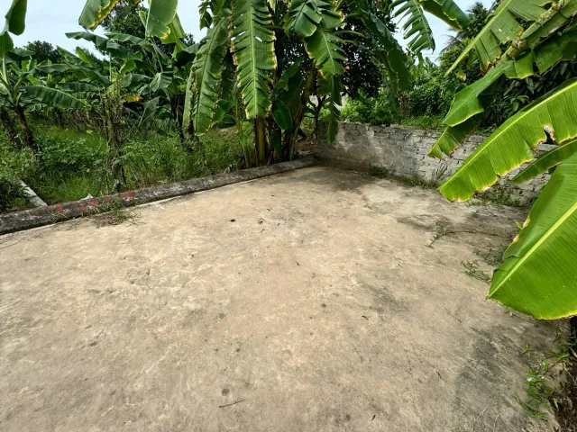 08/01/2026.Bán đất 79m² ngang 4,5m giá 630 triệu Xã An Quang. liên hệ 0362558882