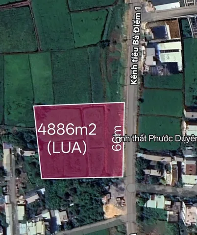 Bán đất 4886m² ngang 66m giá 58 tỷ Xã Bà Điểm