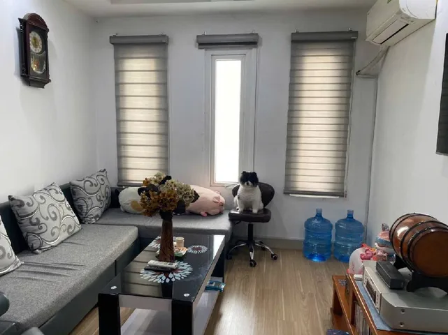 🏰 MẶT TIỀN PHẠM VĂN HAI - NỞ HẬU TÀI LỘC - CHỐT LÀ GIÀU! 💰