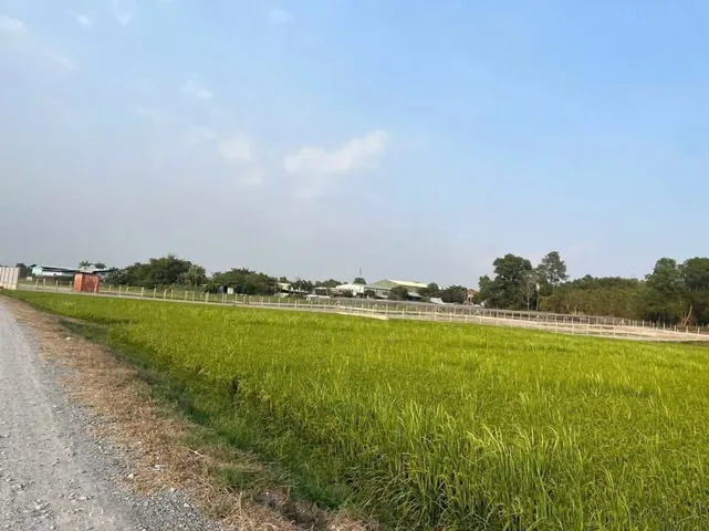 🛑Đất Ngọc giới thiệu lô đất 2350m² mặt tiền Trương Thị NHư Xã Xuân Thới Sơn gần Vành Đai 3, VinHomes HM