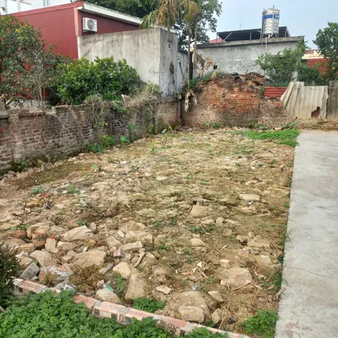 Bán đất 65m² ngang 5.2m giá 980 triệu Xã Kiến Thụy