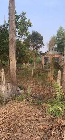 Bán đất vườn đường nhựa xã Tân Thạnh Tây Củ Chi TPHCM, DT: 6000m2.