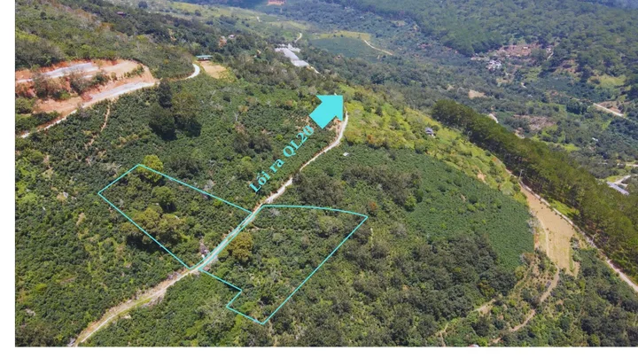 Bán đất 2800m² ngang 50m giá 3.36 tỷ tại Phường Xuân Trường - Đà Lạt
