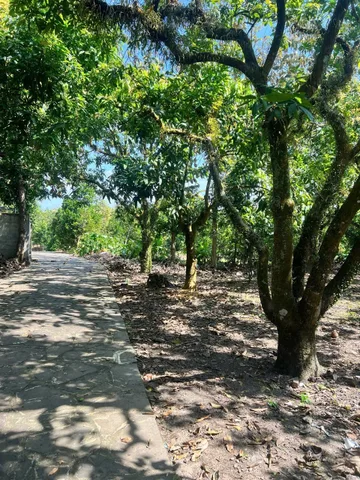 BÁN ĐẤT LA NGÀ - ĐỊNH QUÁN
Diện tích: 5.000 m² 
Vị trí: La Ngà, Định Quán, Đồng Nai.
✨ưu điểm: Đường bê tông, ô tô vào tận đất
💎Giá bán: 500 triệu / 1 sào.
📞 Liên hệ: 0328 003 182 ( chính chủ )